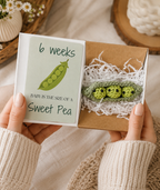 The Pea to Pumpkin Keepsake Collection